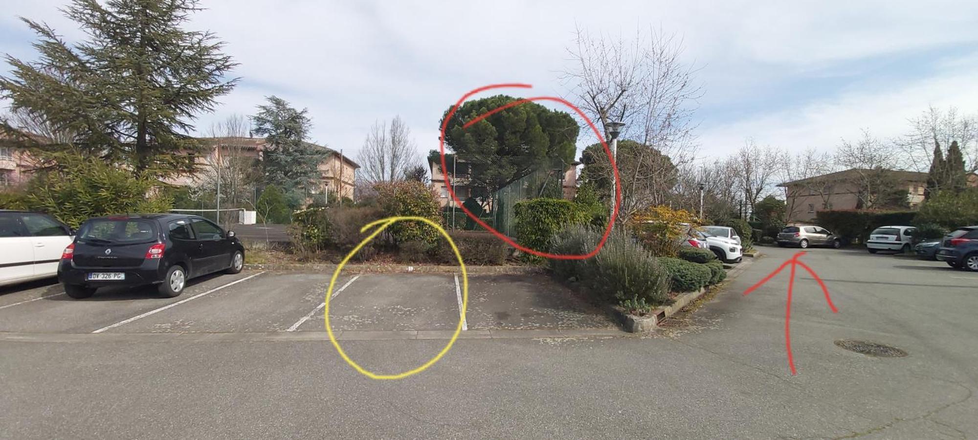Ferienwohnung Les Elfes - Avec Entree Autonome, Clim Neuve, Jardin, Parking Prive & Gourmandises Offertes ! - Toulouse Exterior foto